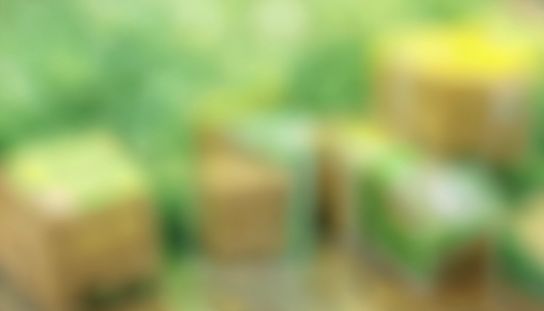 Softly blurred green and yellow toned background suggesting packages and delivery, calm and organized mood